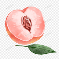 茄子视频下载APP应用